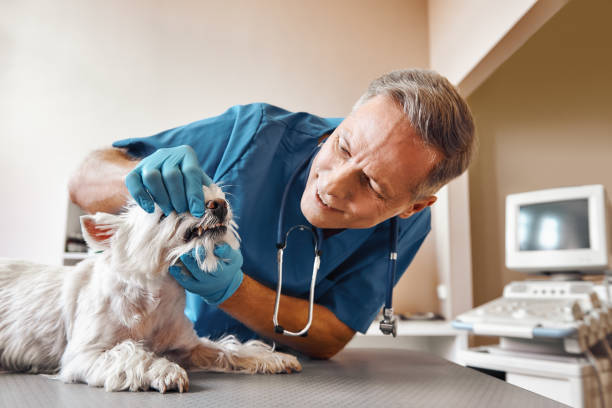  Blackshear, GA Emergency Dentist Pros